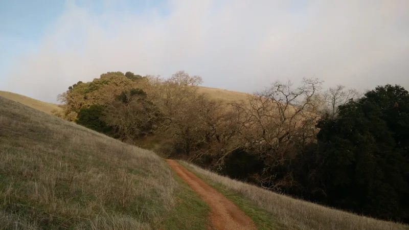 Featured image for post: Uplifting Writing